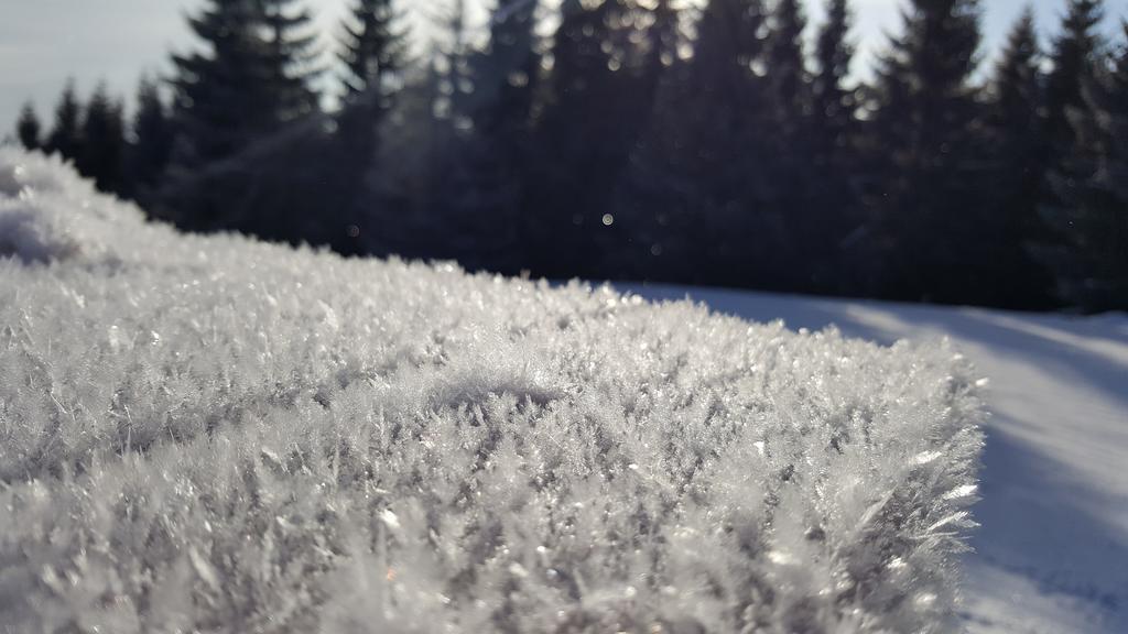 Chata Alpina Ruzomberok Eksteriør bilde